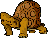 tartaruga guarda.gif